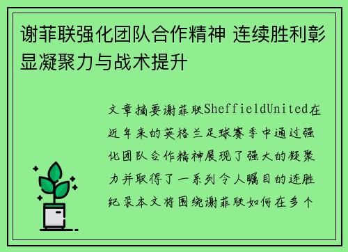 谢菲联强化团队合作精神 连续胜利彰显凝聚力与战术提升